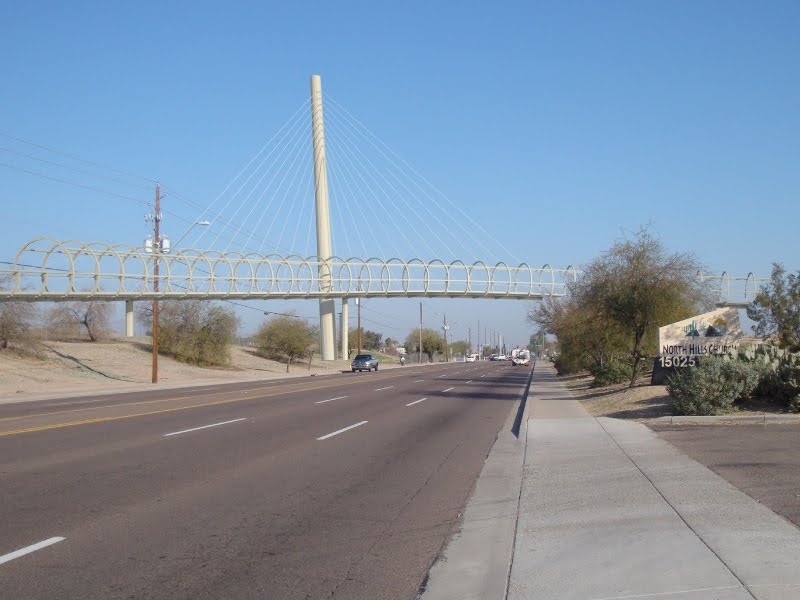 Proposed Phoenix Bike Ped bridge needs your support