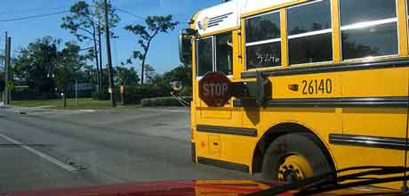 Stop for School Bus